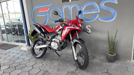 HONDA XRE 300 RALLY 